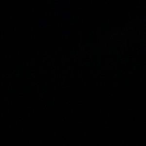 Meet your Posher, Trevor